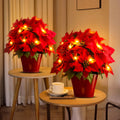 Radiant Ruby Poinsettia